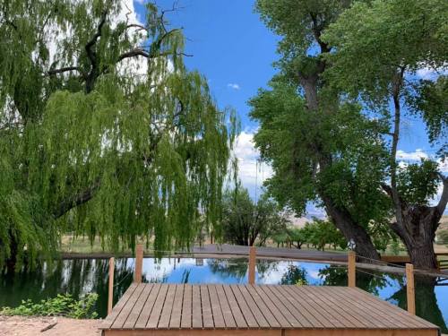 A wooden deck by a calm pond, surrounded by lush green trees and a clear blue sky with fluffy clouds.