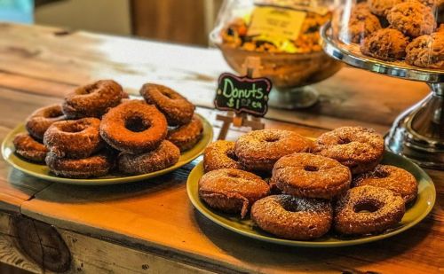 Two plates of freshly baked donuts, one with powdered sugar and the other plain, displayed on a wooden table.