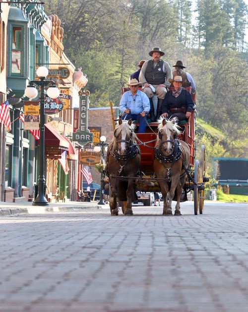 A horse-drawn carriage with passengers travels down a historic street lined with shops and American flags.