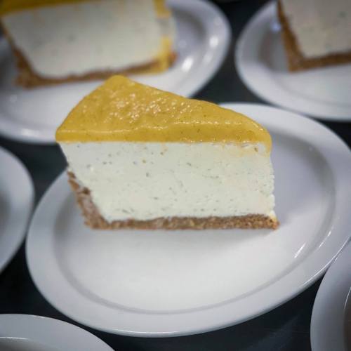 A slice of cheesecake with a smooth yellow topping on a graham cracker crust, served on a white plate.