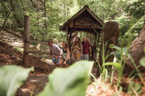 A family walks across a wooden bridge in a lush, green forest, surrounded by trees and nature.