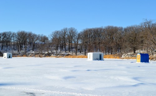 Ice fishing shacks on a snowy lake, surrounded by bare trees and tall grasses under a clear blue sky.