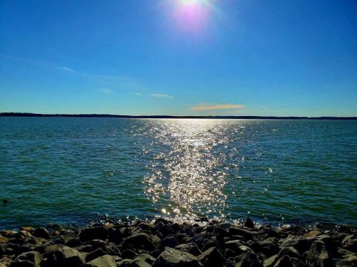 A serene lake view with sparkling water under a clear blue sky and a bright sun shining above.