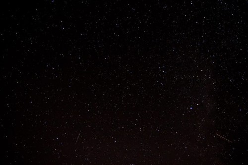 A clear night sky filled with countless stars, showcasing the Milky Way and a few shooting stars.