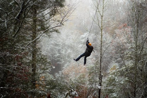 A person zip-lining through a snowy forest, surrounded by trees and a misty atmosphere.