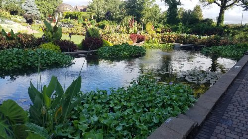 A serene garden scene featuring a pond surrounded by lush greenery and colorful plants under a clear blue sky.