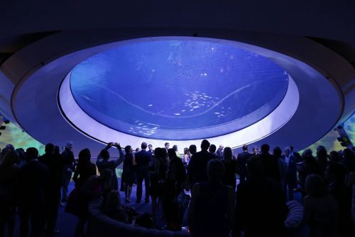 A crowd of people gathered around a large circular aquarium, illuminated by blue light and filled with swimming fish.