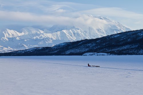 A person on a sled pulled by dogs traverses a snowy landscape with majestic mountains in the background.