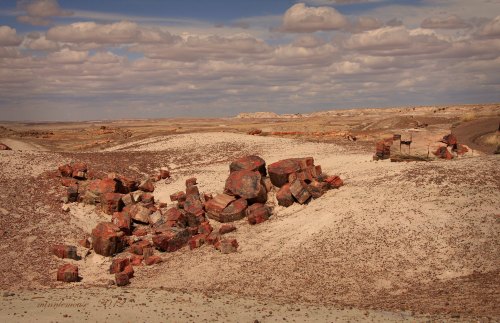 A barren landscape with scattered colorful rock formations under a cloudy sky.
