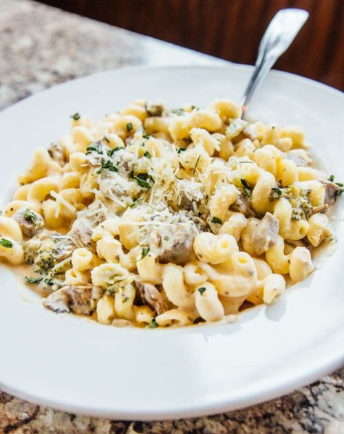 Creamy pasta dish with mushrooms, herbs, and grated cheese served on a white plate.