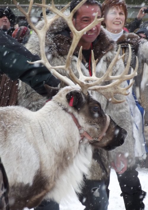 A smiling person in winter attire stands beside a reindeer in a snowy setting, with a crowd in the background.