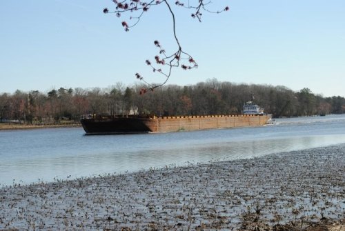 A large barge navigates a calm river, surrounded by trees and a clear blue sky.
