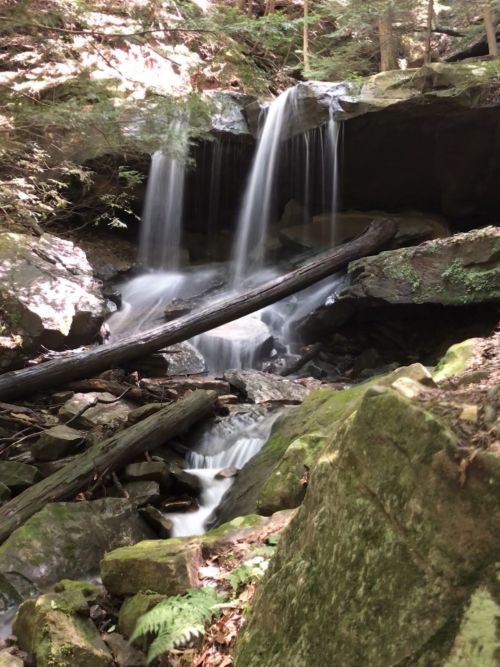 A serene waterfall cascades over rocks, surrounded by lush greenery and fallen logs in a tranquil forest setting.