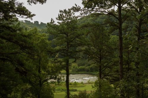 A serene landscape featuring tall trees surrounding a calm river, with rolling hills in the background under a cloudy sky.