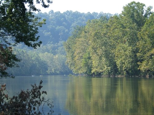 A serene river scene with lush green trees reflecting on calm water, surrounded by misty hills in the background.