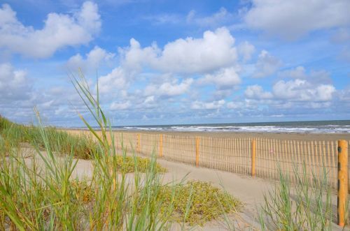 A sandy beach with gentle waves, framed by tall grass and a wooden fence under a blue sky with fluffy clouds.