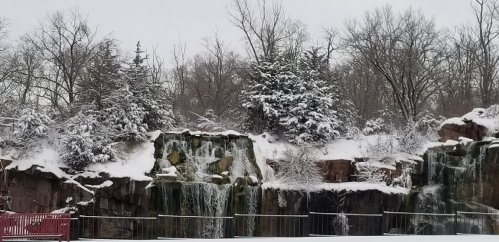 A snowy landscape featuring a waterfall cascading over rocks, surrounded by trees covered in snow.