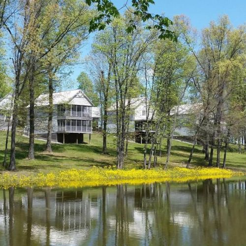 A serene landscape featuring two houses by a pond, surrounded by trees and a field of yellow flowers.