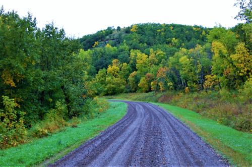 A winding gravel road surrounded by lush green trees and vibrant autumn foliage.