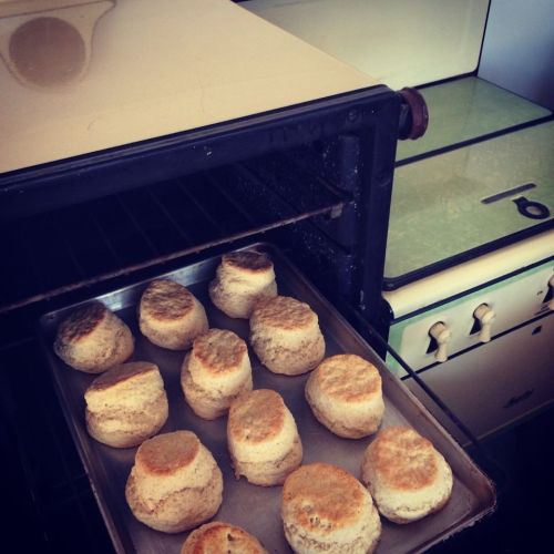 Freshly baked biscuits on a tray, cooling in an oven with a vintage stove in the background.