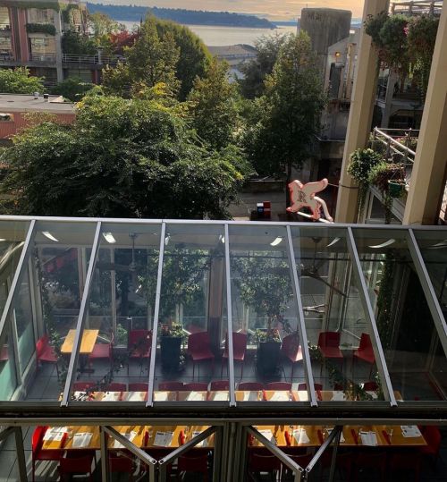 A view from above of a restaurant with red chairs, surrounded by greenery and overlooking a body of water.