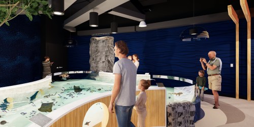 Visitors explore an aquarium exhibit featuring a circular tank with various fish and stingrays, surrounded by modern decor.