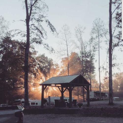 A serene campsite at sunrise, with rays of light shining through trees and a gazebo in the foreground.