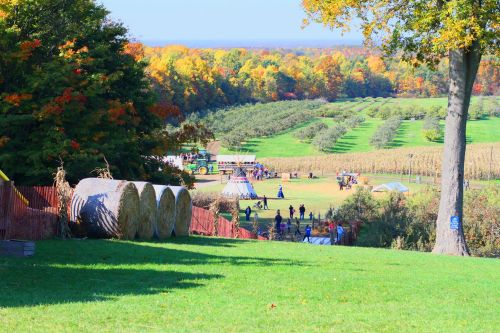 A vibrant autumn landscape with colorful trees, hay bales, and people enjoying activities in an orchard.