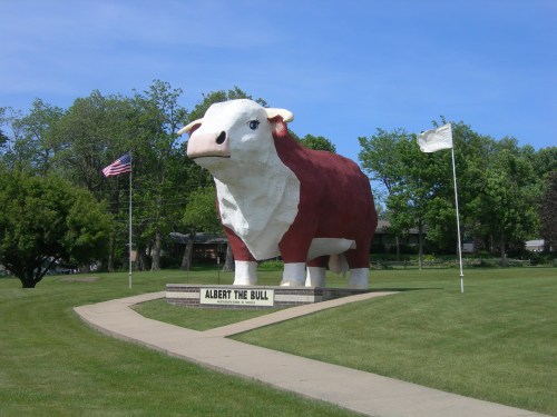 A large statue of a bull named Albert, standing on a grassy area with trees and flags in the background.