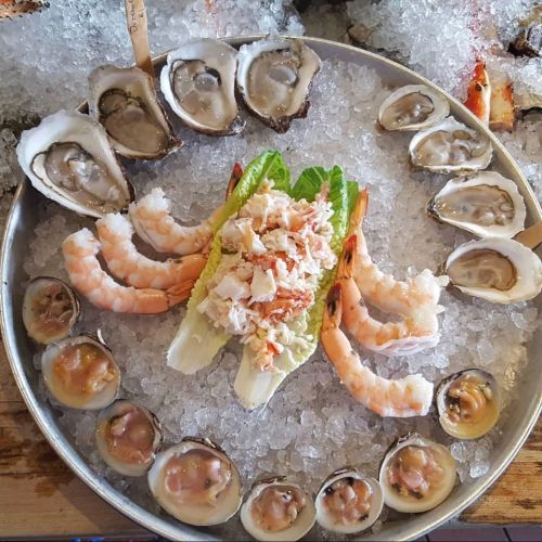 A seafood platter featuring oysters, shrimp, and crab on a bed of ice, garnished with lettuce.
