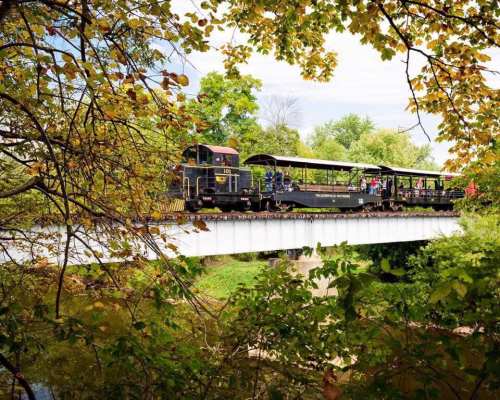 A train crosses a bridge surrounded by lush greenery and autumn leaves, with passengers enjoying the scenic ride.