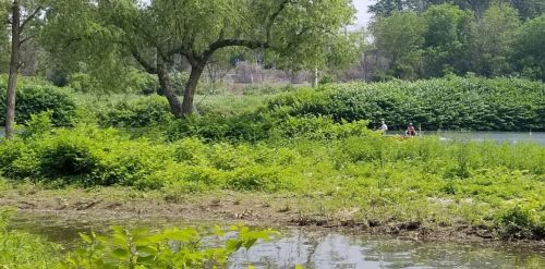 A serene river scene with lush greenery and two people in a canoe paddling through the water.