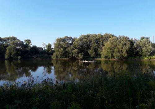 A serene river scene with lush trees reflecting in the calm water under a clear blue sky.