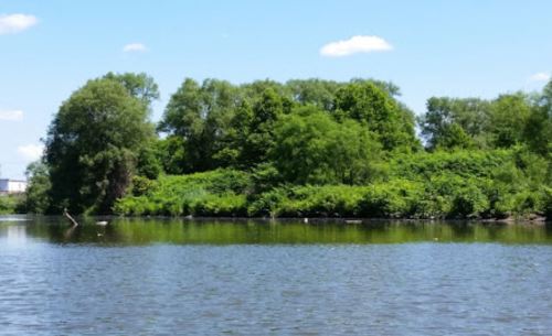A serene river scene with lush green trees and bushes lining the banks under a clear blue sky.