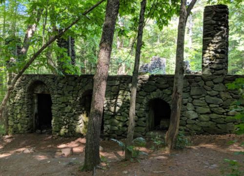 Stone ruins partially covered by trees, with arched doorways and a tall chimney, set in a lush green forest.