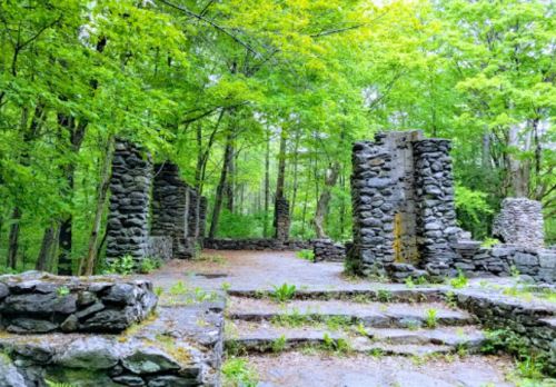 Ruins of stone structures surrounded by lush green trees in a serene forest setting.