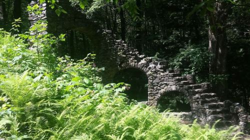 Ruins of a stone structure surrounded by lush green ferns and trees in a forested area.