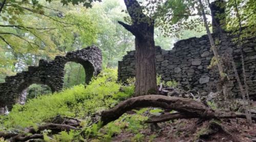 Ruins of a stone structure surrounded by lush greenery and trees in a forested area.