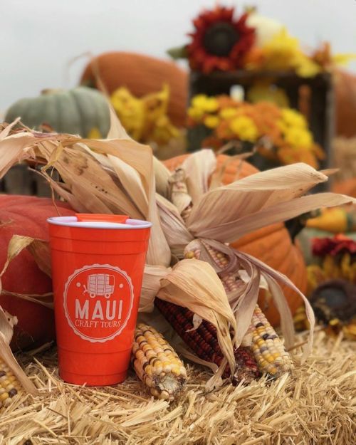 A bright orange cup with "MAUI CRAFT TOURS" sits among pumpkins and colorful corn on a hay bale.