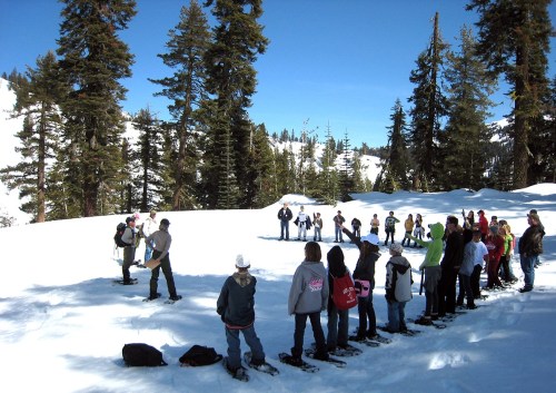 A group of people in winter clothing gathers in a snowy landscape, listening to a speaker among tall pine trees.