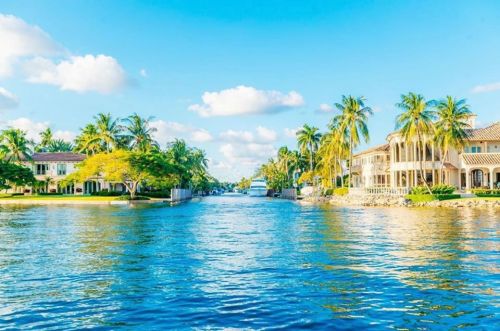 A serene waterfront scene with palm trees, blue water, and luxurious homes under a bright, sunny sky.