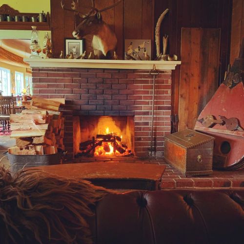 Cozy living room with a brick fireplace, logs stacked nearby, and rustic decor, including a mounted deer head.