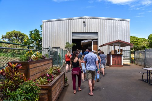 A group of people walking towards a large metal building with a small kiosk and colorful plants in the foreground.