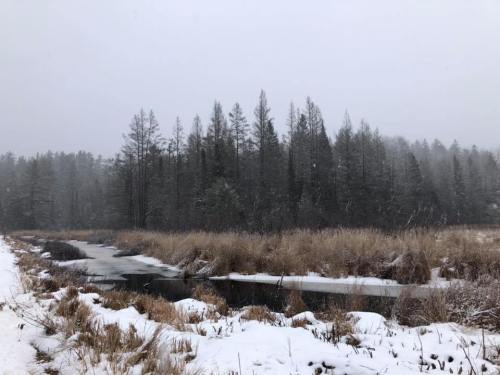 A snowy landscape featuring a river surrounded by tall trees and grass, under a gray, overcast sky.