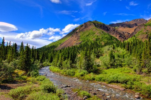 A serene landscape featuring a winding stream, lush greenery, and a mountain under a blue sky with scattered clouds.