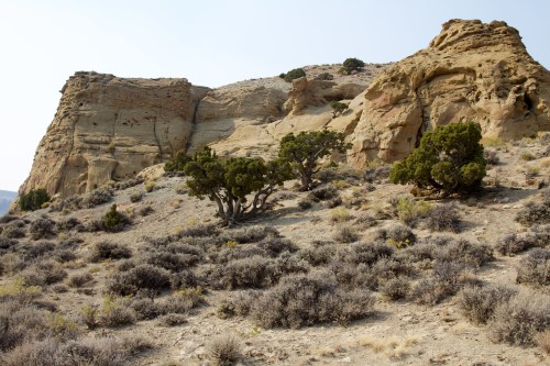 A rocky hillside with sparse vegetation and small trees against a backdrop of layered cliffs under a clear sky.