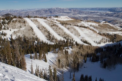 A snowy mountain landscape with ski trails winding through trees and hills under a clear blue sky.