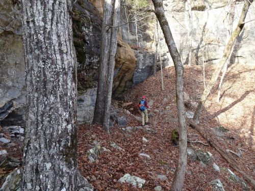 A hiker in a wooded area with rocky cliffs, surrounded by trees and fallen leaves on the ground.