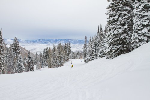 A snowy ski slope surrounded by tall evergreen trees, with skiers in the distance and mountains under a cloudy sky.