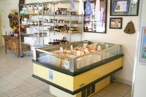 A colorful ice cream freezer in a shop, surrounded by shelves of jars and products, with a cozy, inviting atmosphere.
